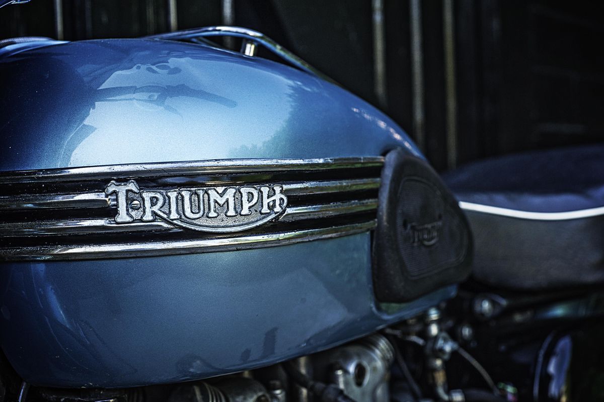 Triumph Tiger 100 1954, à vendre chez Legend Motors Lille.